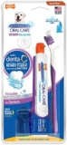 Nylabone Advanced Oral Care Senior Dog Dental Kit Bacon Flavor Small